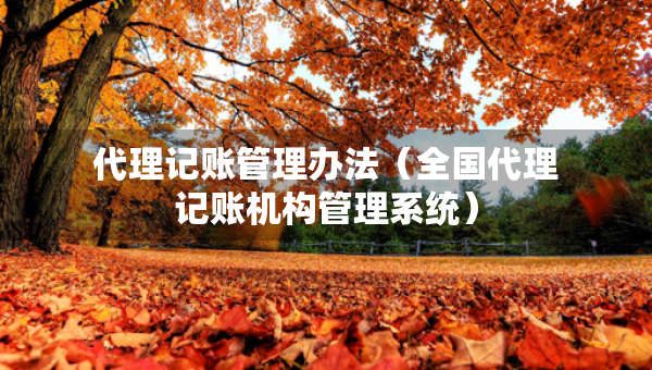 代理記賬管理辦法（全國代理記賬機(jī)構(gòu)管理系統(tǒng)）