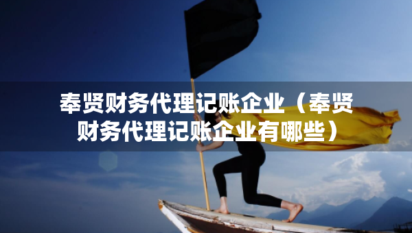 奉賢財務代理記賬企業(yè)（奉賢財務代理記賬企業(yè)有哪些）