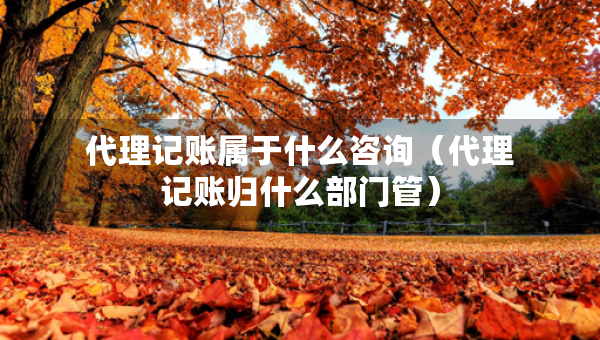 代理記賬屬于什么咨詢（代理記賬歸什么部門管）