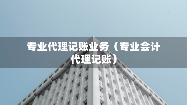 專業(yè)代理記賬業(yè)務(wù)（專業(yè)會(huì)計(jì)代理記賬）