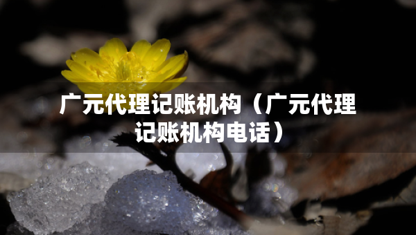 廣元代理記賬機構(gòu)（廣元代理記賬機構(gòu)電話）