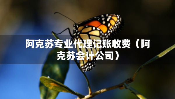 阿克蘇專業(yè)代理記賬收費（阿克蘇會計公司）