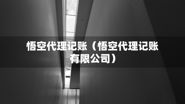 悟空代理記賬（悟空代理記賬有限公司）