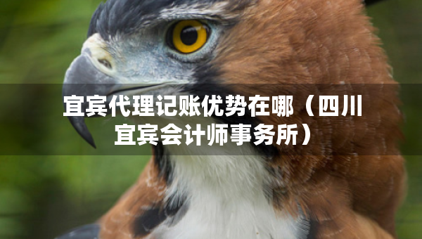 宜賓代理記賬優(yōu)勢在哪（四川宜賓會計(jì)師事務(wù)所）