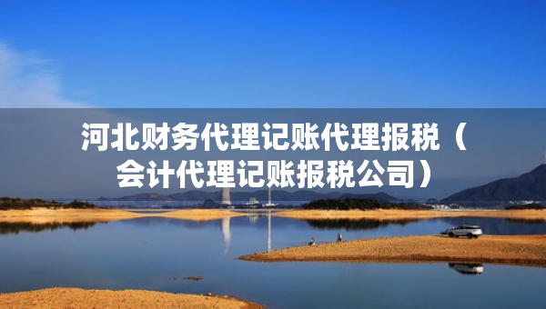 河北財務(wù)代理記賬代理報稅（會計代理記賬報稅公司）