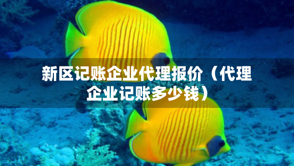 新區(qū)記賬企業(yè)代理報價（代理企業(yè)記賬多少錢）