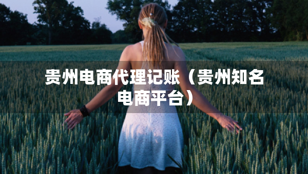 貴州電商代理記賬（貴州知名電商平臺）