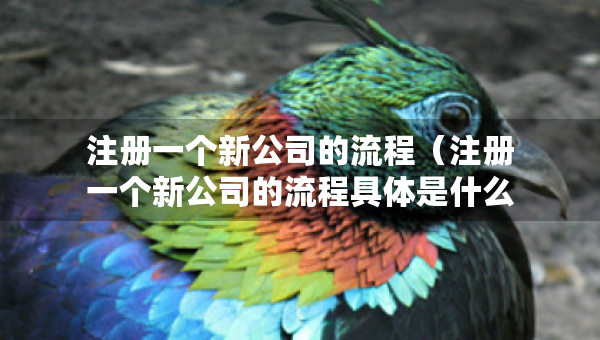 注冊一個新公司的流程（注冊一個新公司的流程具體是什么）