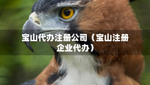 寶山代辦注冊(cè)公司（寶山注冊(cè)企業(yè)代辦）