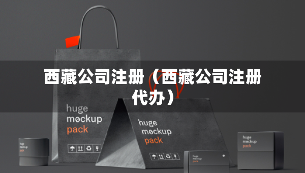 西藏公司注冊(cè)（西藏公司注冊(cè)代辦）