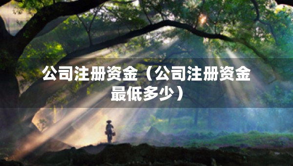 公司注冊資金（公司注冊資金最低多少）