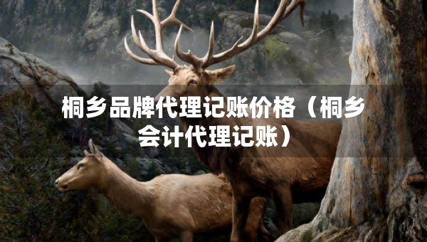 桐鄉(xiāng)品牌代理記賬價格（桐鄉(xiāng)會計代理記賬）