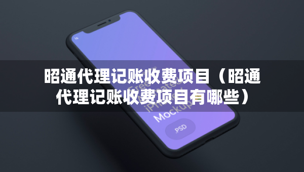 昭通代理記賬收費(fèi)項目（昭通代理記賬收費(fèi)項目有哪些）