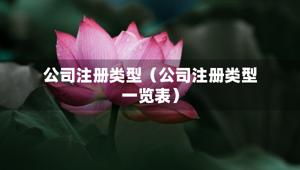 公司注冊(cè)類型（公司注冊(cè)類型一覽表）