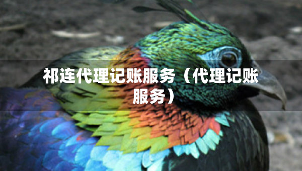 祁連代理記賬服務(wù)（代理記賬 服務(wù)）
