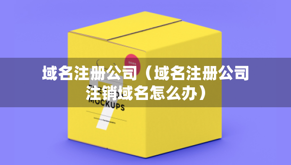 域名注冊公司（域名注冊公司注銷域名怎么辦）