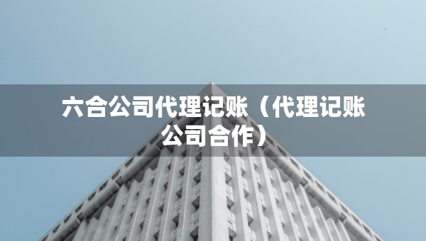 六合公司代理記賬（代理記賬公司合作）