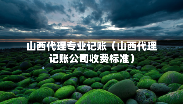 山西代理專業(yè)記賬（山西代理記賬公司收費(fèi)標(biāo)準(zhǔn)）