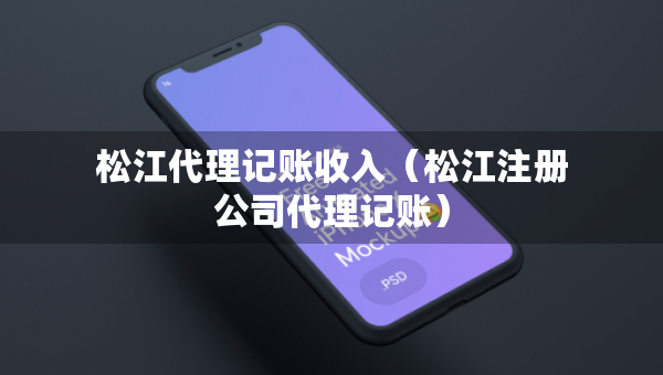 松江代理記賬收入（松江注冊公司代理記賬）