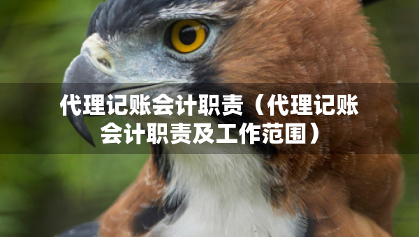 代理記賬會計職責（代理記賬會計職責及工作范圍）