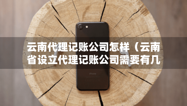 云南代理記賬公司怎樣（云南省設(shè)立代理記賬公司需要有幾個(gè)人）