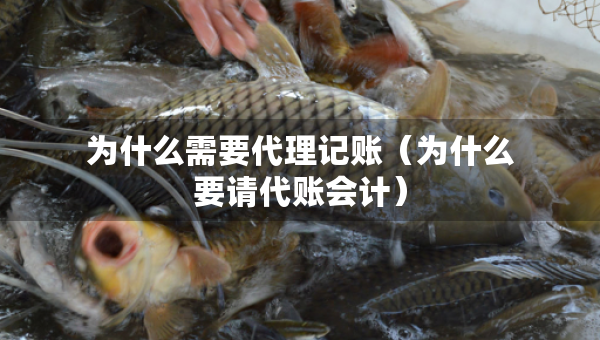 為什么需要代理記賬（為什么要請代賬會計(jì)）