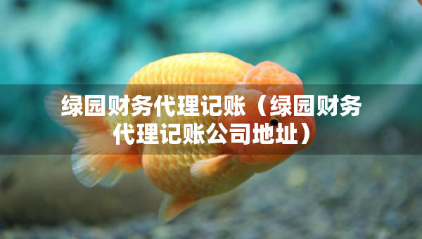 綠園財務(wù)代理記賬（綠園財務(wù)代理記賬公司地址）