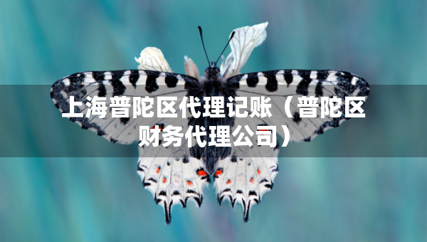 上海普陀區(qū)代理記賬（普陀區(qū)財(cái)務(wù)代理公司）