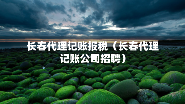 長春代理記賬報稅（長春代理記賬公司招聘）