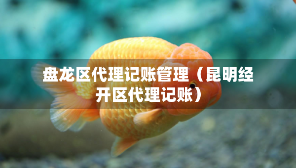 盤龍區(qū)代理記賬管理（昆明經(jīng)開區(qū)代理記賬）