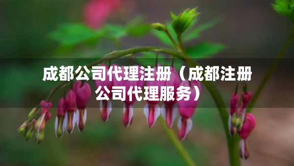 成都公司代理注冊（成都注冊公司代理服務(wù)）
