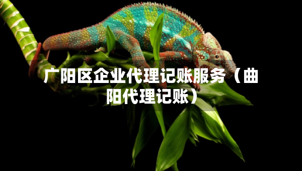 廣陽區(qū)企業(yè)代理記賬服務(wù)（曲陽代理記賬）