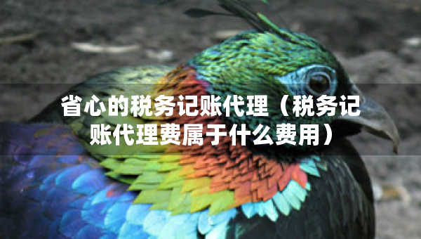 省心的稅務記賬代理（稅務記賬代理費屬于什么費用）