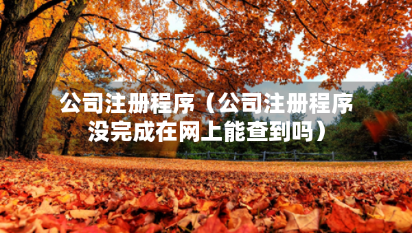 公司注冊程序（公司注冊程序沒完成在網(wǎng)上能查到嗎）
