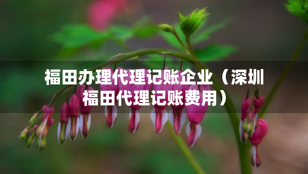 福田辦理代理記賬企業(yè)（深圳福田代理記賬費(fèi)用）