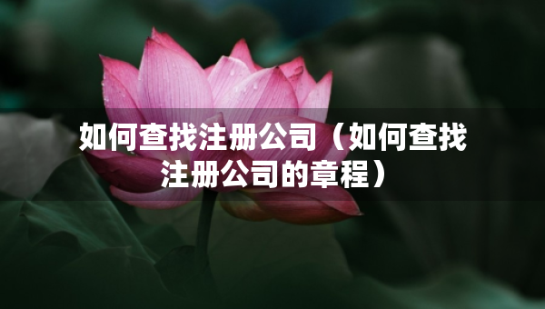如何查找注冊公司（如何查找注冊公司的章程）