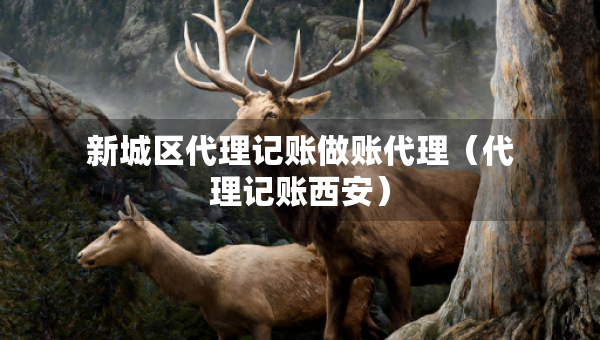 新城區(qū)代理記賬做賬代理（代理記賬西安）