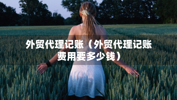 外貿(mào)代理記賬（外貿(mào)代理記賬費(fèi)用要多少錢(qián)）
