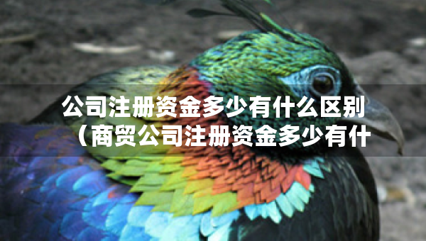 公司注冊資金多少有什么區(qū)別（商貿(mào)公司注冊資金多少有什么區(qū)別）