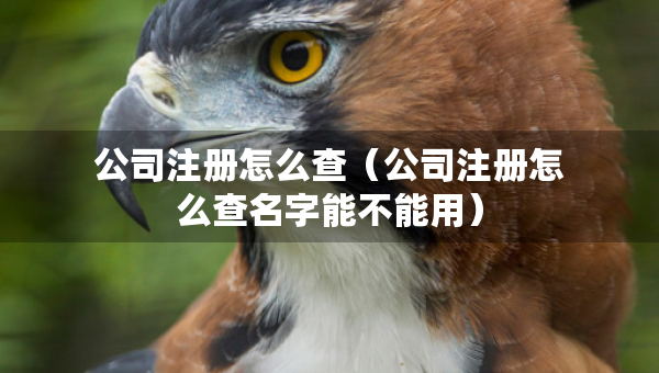 公司注冊怎么查（公司注冊怎么查名字能不能用）