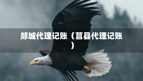 郯城代理記賬（莒縣代理記賬）