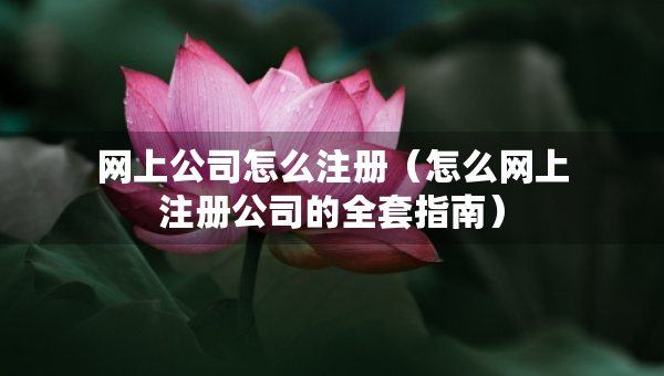 網(wǎng)上公司怎么注冊（怎么網(wǎng)上注冊公司的全套指南）