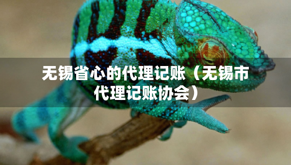 無錫省心的代理記賬（無錫市代理記賬協(xié)會）