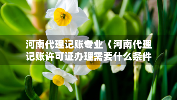 河南代理記賬專業(yè)（河南代理記賬許可證辦理需要什么條件）