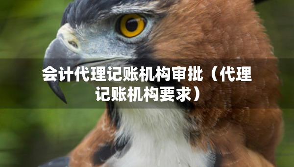 會(huì)計(jì)代理記賬機(jī)構(gòu)審批（代理記賬機(jī)構(gòu)要求）
