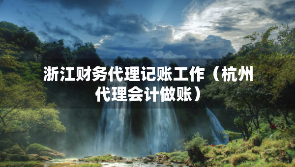 浙江財(cái)務(wù)代理記賬工作（杭州代理會(huì)計(jì)做賬）