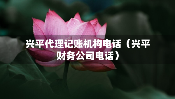 興平代理記賬機(jī)構(gòu)電話（興平財(cái)務(wù)公司電話）