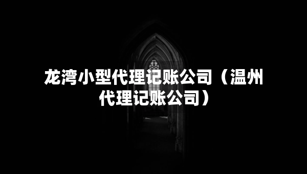 龍灣小型代理記賬公司（溫州代理記賬公司）