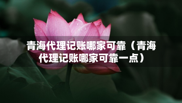 青海代理記賬哪家可靠（青海代理記賬哪家可靠一點(diǎn)）