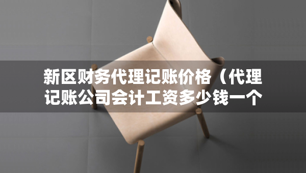 新區(qū)財務(wù)代理記賬價格（代理記賬公司會計工資多少錢一個月）